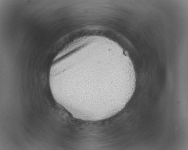 X0000081320821200702082134