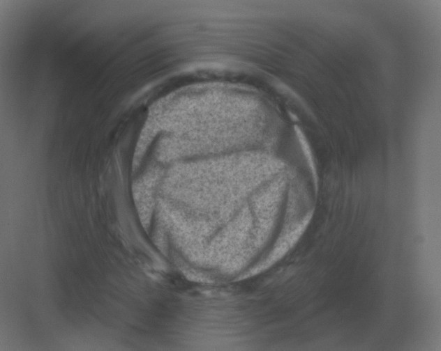 X0000081320822200702082134