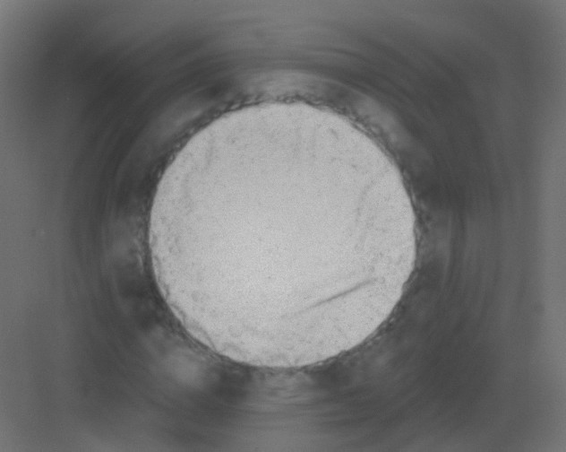 X0000081320824200702082134