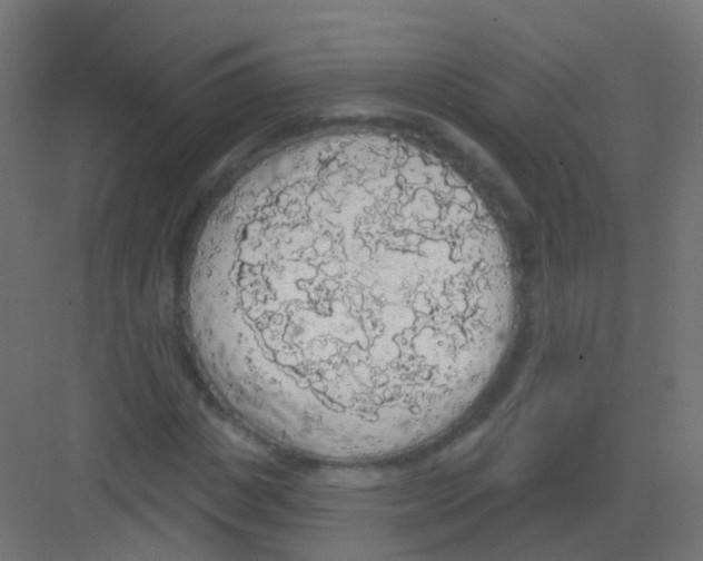 X0000081320825200702082134