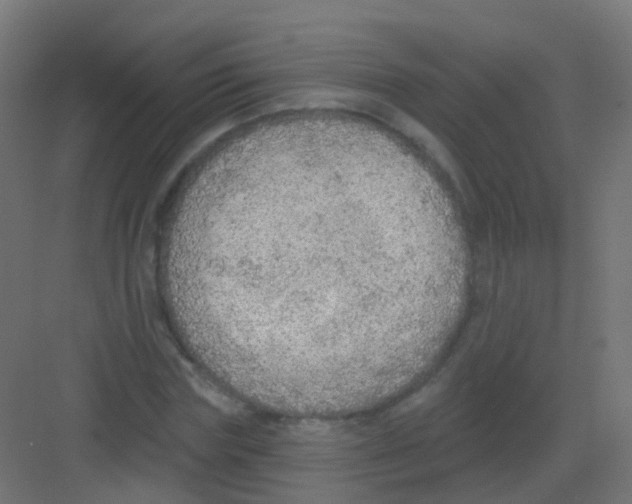 X0000081320827200702082134