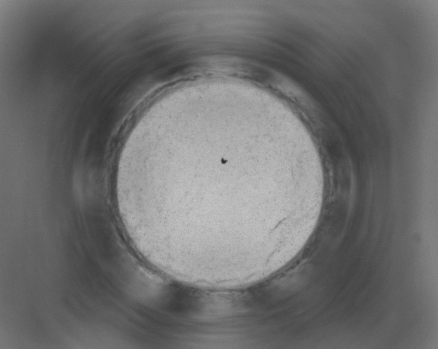 X0000081320828200702082134