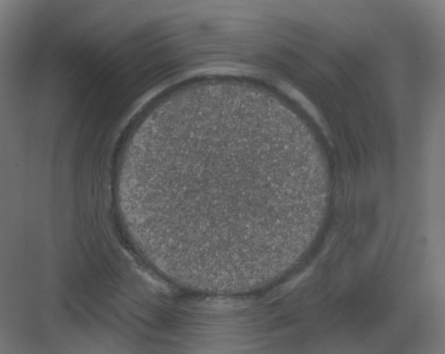 X0000081320829200702082134