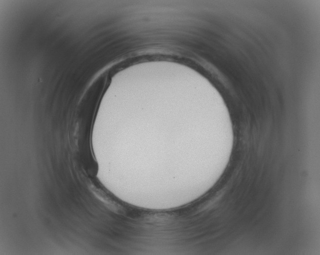 X0000081320830200702082134