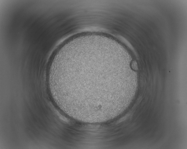 X0000081320831200702082134