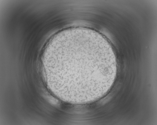 X0000081320832200702082134