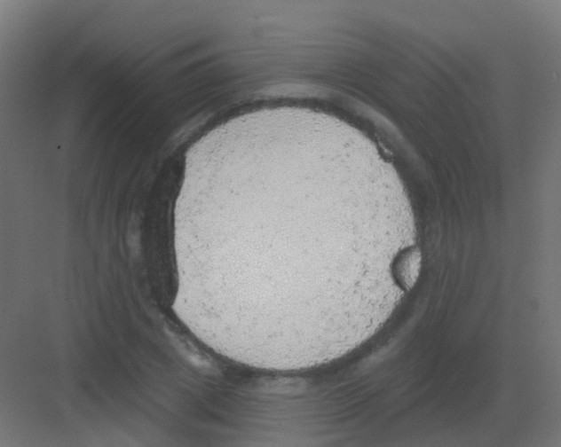 X0000081320833200702082134