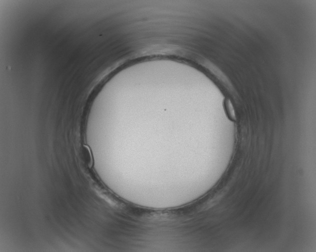 X0000081320834200702082134