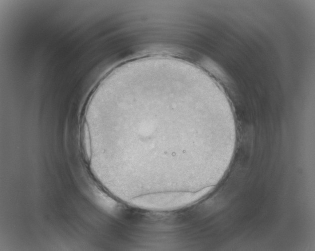 X0000081320836200702082134