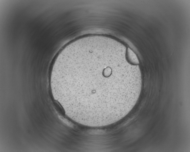 X0000081320837200702082134