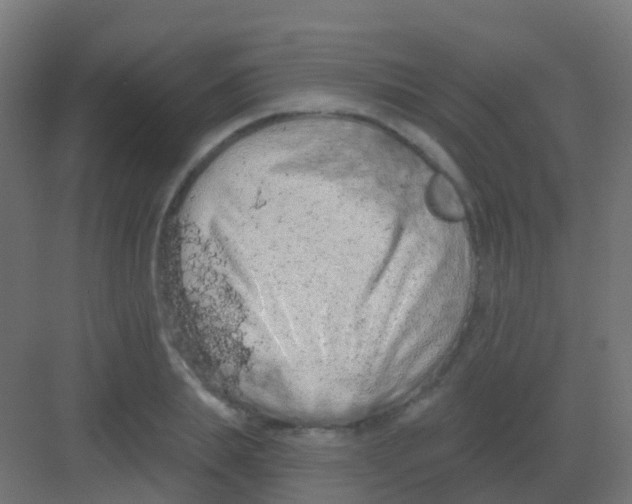 X0000081320839200702082134