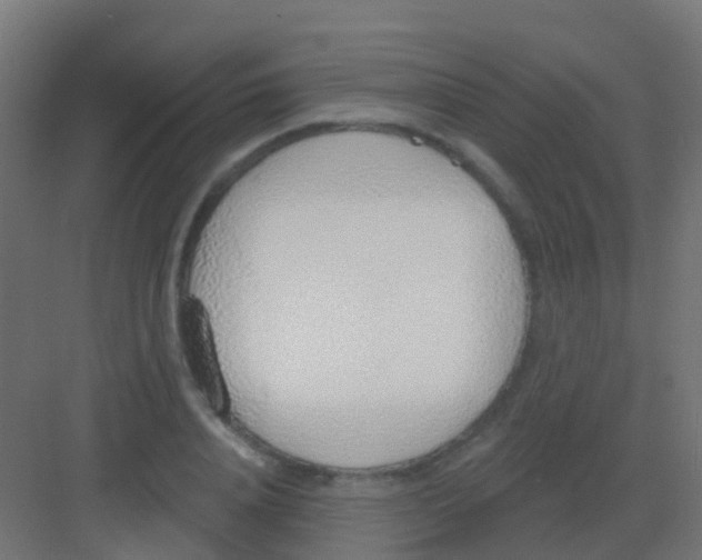 X0000081320840200702082134