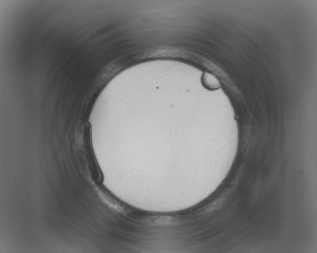 X0000081320841200702082134