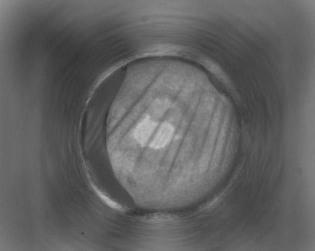 X0000081320842200702082134