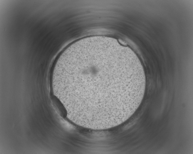 X0000081320843200702082134