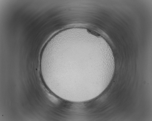 X0000081320844200702082134