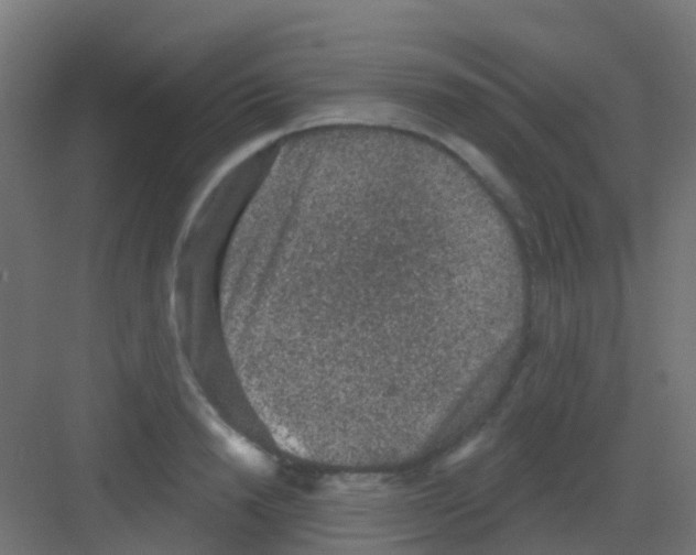 X0000081320846200702082134