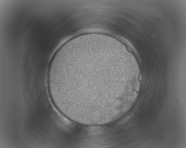 X0000081320847200702082134