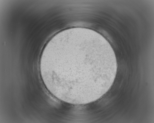 X0000081320848200702082134