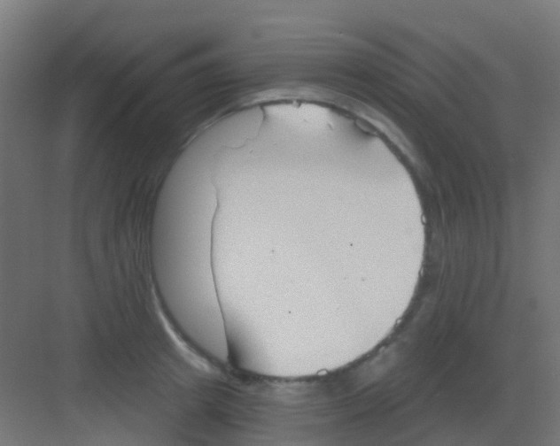 X0000081320849200702082134