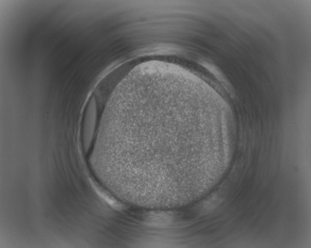 X0000081320850200702082134