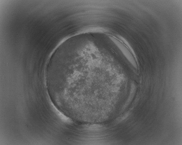 X0000081320851200702082134