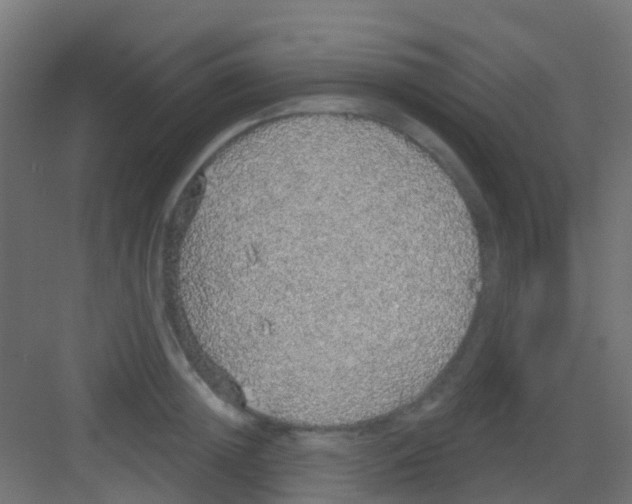 X0000081320852200702082134