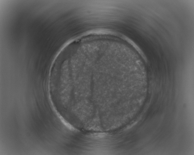 X0000081320853200702082134