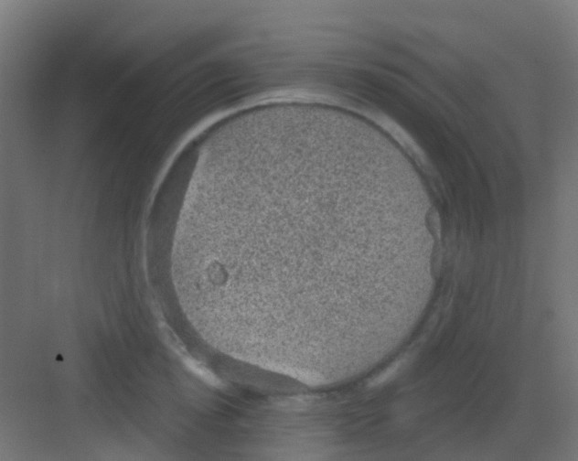 X0000081320854200702082134