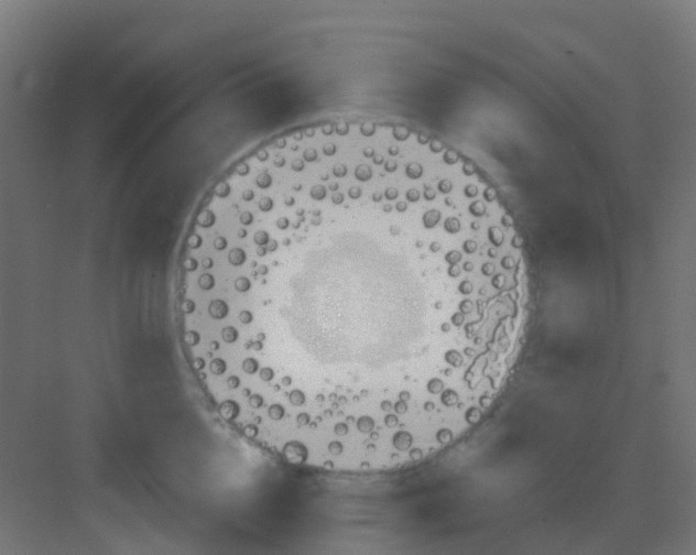 X0000081320856200702082134