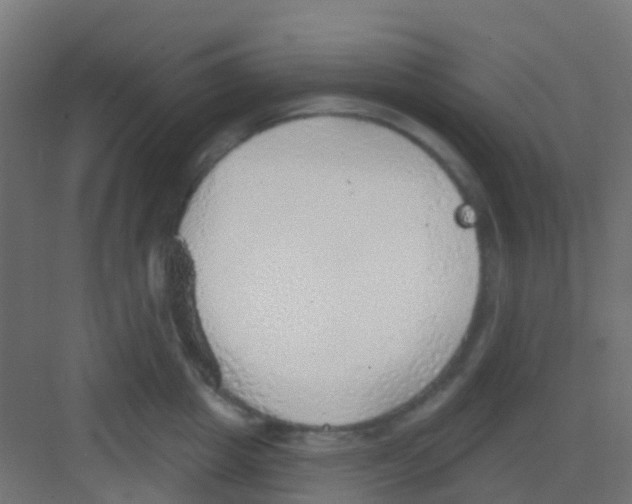 X0000081320857200702082134