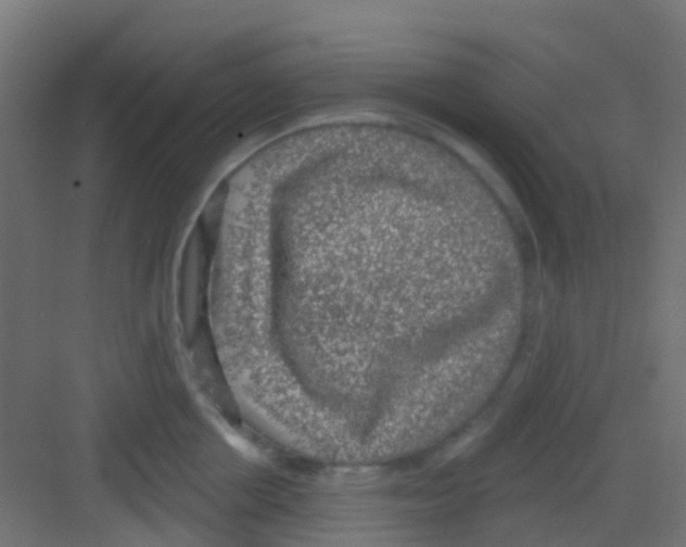 X0000081320858200702082134