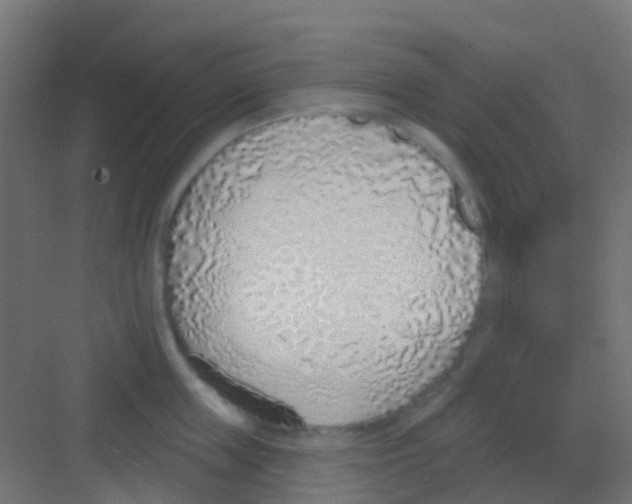 X0000081320859200702082134