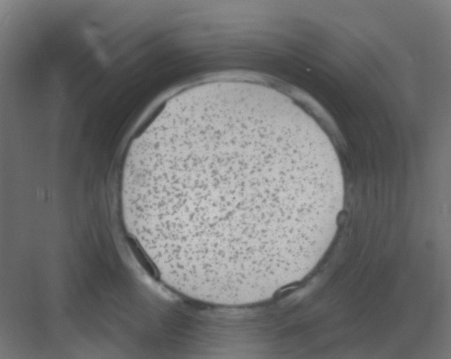 X0000081320860200702082134