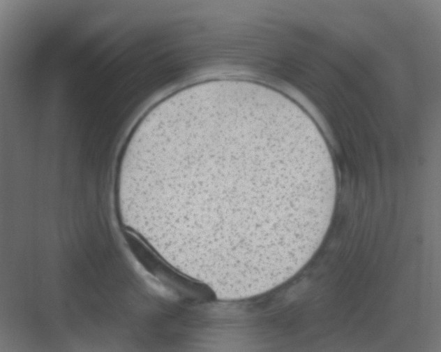 X0000081320861200702082134