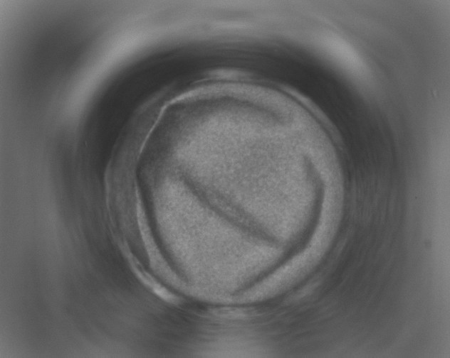 X0000081320862200702082134