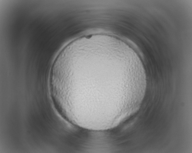 X0000081320863200702082134