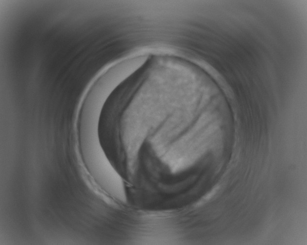 X0000081320864200702082134