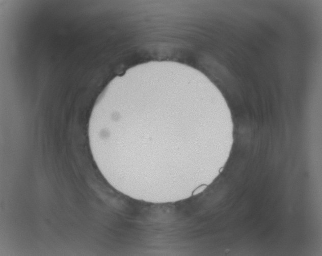 X0000081320865200702082133