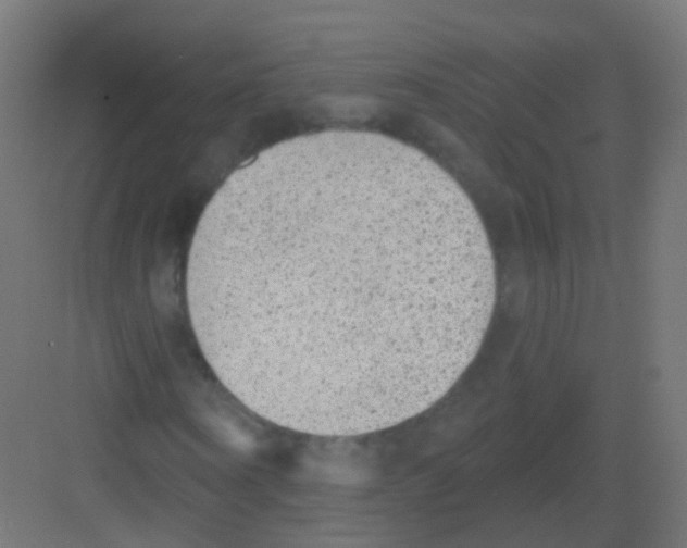 X0000081320866200702082133