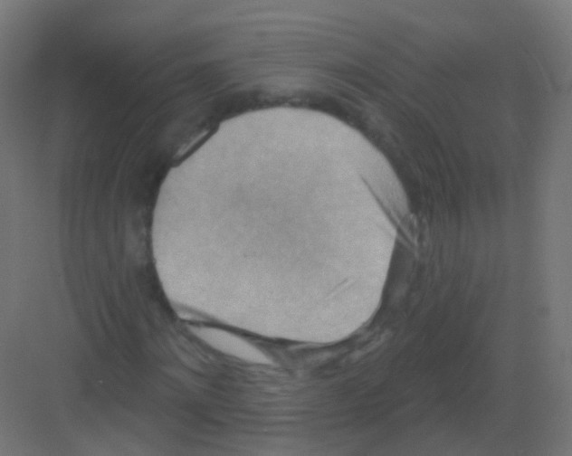 X0000081320868200702082133