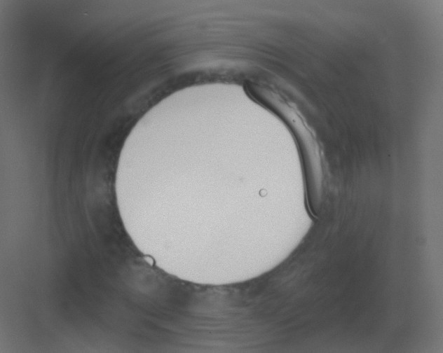 X0000081320869200702082133