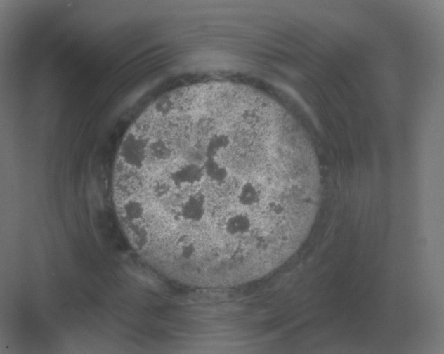 X0000081320871200702082133