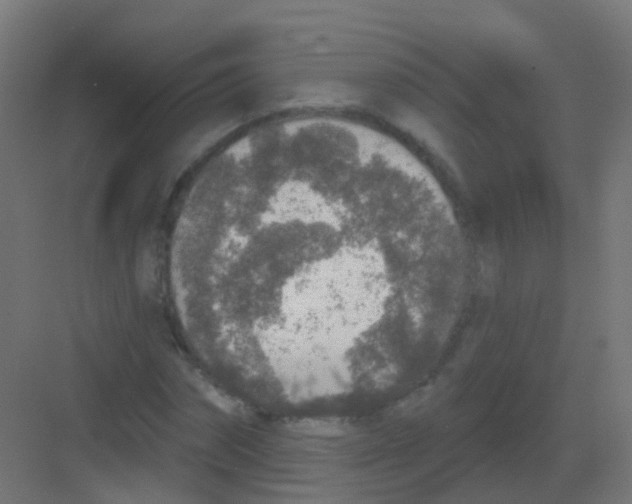 X0000081320874200702082133