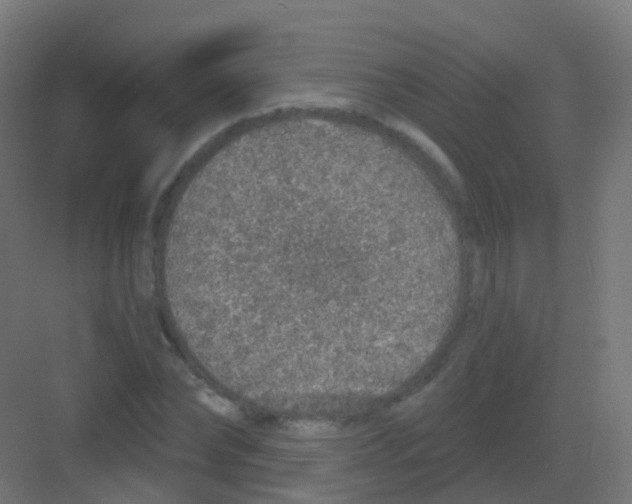 X0000081320878200702082133