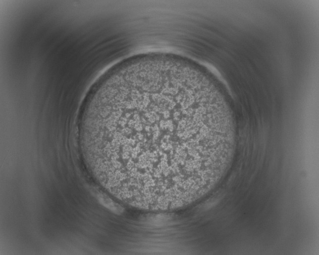 X0000081320879200702082133