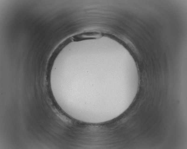 X0000081320880200702082133