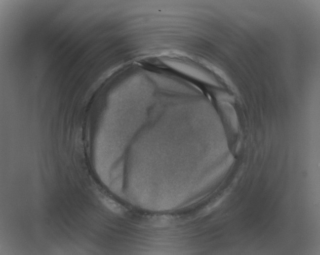 X0000081320881200702082133