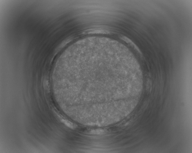 X0000081320882200702082133