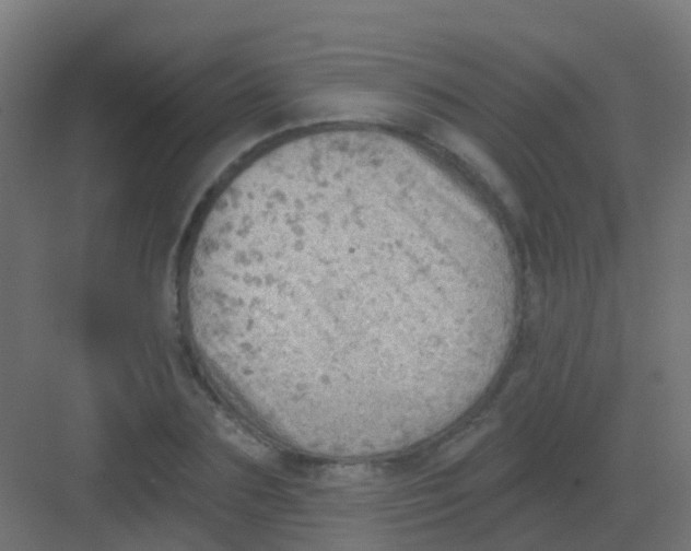 X0000081320883200702082133